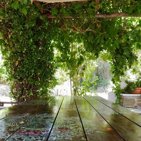 Dom wakacyjny Kaluvi Skiatos