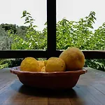 Ferienhaus Kaluvi Skiathos-Stadt