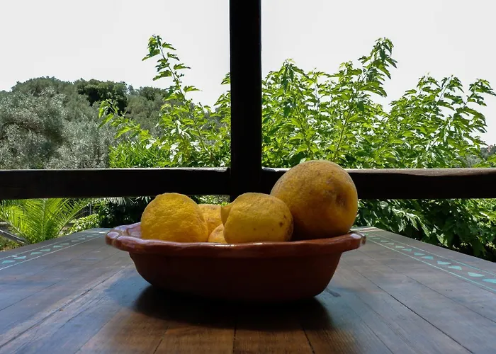 度假居 Kaluvi 斯基亚索斯镇